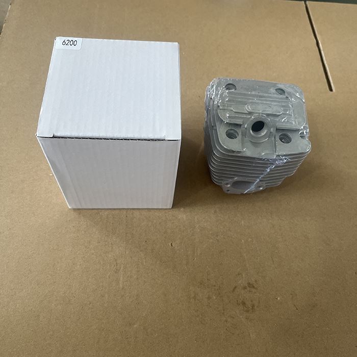 6200 Chain Saw Cylinder Assy suppliers